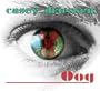 Oog