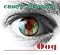 Oog