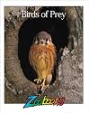 Birds Of Prey (Zoobooks Series)