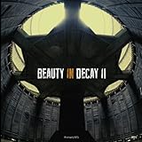 Beauty in Decay II