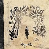 Search : Takk [VINYL]