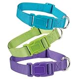 UPC 721343918165 product image for Zack & Zoey 18 to 26-Inch Nylon Dog Neck Collar, Bluebird | upcitemdb.com