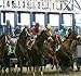 The Never Lose Horse racing System