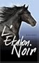 �TALON NOIR T01 (L')