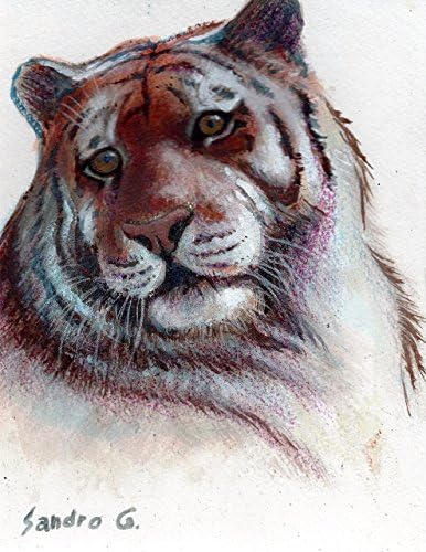 Tiger Portrait original wildlife nature painting acrylic art animal nature wall decoration artwork Feline Cat