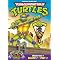 Ultimate Classic Turtles collection/guide!