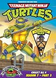Teenage Mutant Ninja Turtles: Season 7, Pt. 3 - The Donatello Slice