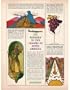 1962 Panagra Airlines Fly to Charms of South America Print Ad (18447)