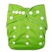 Alva Double Rrows of Snaps Fitted Pocket Washable Adjustable Cloth Diaper with 2 Inserts Neutral Color (Sping Green) B10