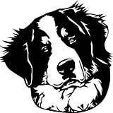 Bernese Mountain, Berner Sennenhund, 20cm Autoaufkleber