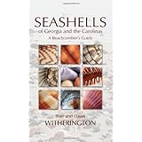 seashells of georgia and the carolinas