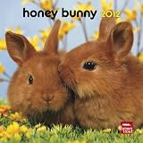 Honey Bunny 2012 7X7 (Multilingual Edition)