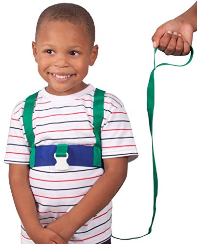 Leachco ride  n stride 2-way safety harness, green and blue