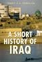 A Short History of Iraq: From 636 to the Present
