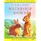 The Best Watership Down Products{ Updated June 3rd 2003!}