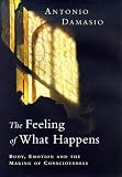 The Feeling of What Happens: Body, Emotion and the Making of Consciousness