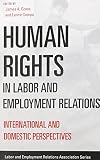 Human rights in labor and employment relations : international and domestic perspectives