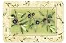Olive Rhapsody Surface Saver 3CB 1019