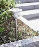Stainless Steel Solar Path Light