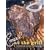Emeril at the Grill: A Cookbook for All Seasons