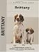 Book Brittany (Kennel Club Dog Breed Series)