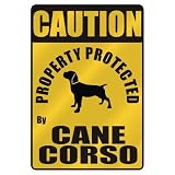 CAUTION  PROPERTY PROTECTED BY CANE CORSO  PARKING SIGN DOG