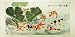 Chinese Watercolor Painting - Chinese Traditional Painting Titled 