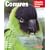 Conures (Complete Pet Owner's Manual)