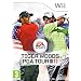 Tiger Woods PGA Tour 11 (Wii)