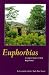 Euphorbias: A Gardener's Guide