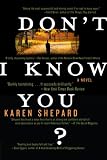 Dont I Know You?: A Novel
