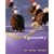 Trigonometry (Lial/Hornsby/Schneider Series)