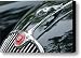 1955 Jaguar XK 150 Hood Ornament Canvas Print / Canvas Art - Artist Jill Reger 1955 Jaguar XK 150 Hood Ornament Canvas Print / Canvas Art - Artist Jill Reger