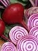 Beet, Chioggia Photographic Poster Print by Wally Eberhart, 12x16