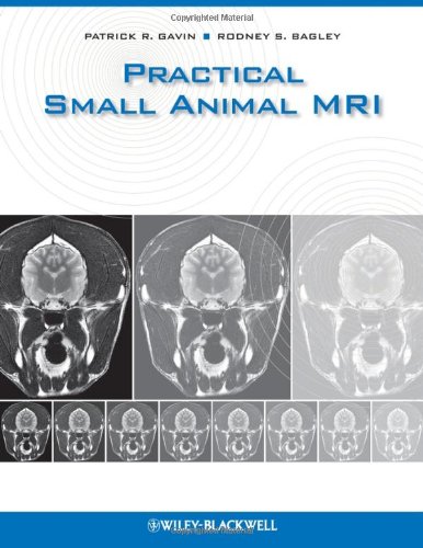 practical small animal mri