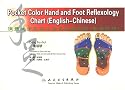 Pocket Color Hand And Foot Reflexology Chart (English-Chinese)