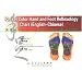 Pocket Color Hand And Foot Reflexology Chart (English-Chinese)