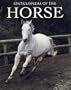 Encyclopedia of the Horse
