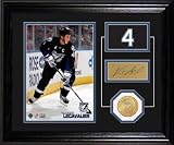 Vincent Lecavalier Tampa Bay Lightning Player Pride Desk Top Photograph