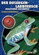Der Rotaugenlaubfrosch: Agalychnis callidryas