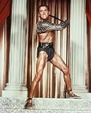 Kirk Douglas 12x16 Matte Color Photo (Spartacus)