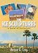 The Ice Sculptures: A Novel of Hollywood