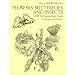 Flowers, Butterflies and Insects: All 154 Engravings from "Erucarum Ortus" (Dover Pictorial Archive)