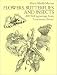 Flowers, Butterflies and Insects: All 154 Engravings from 
