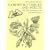 Flowers, Butterflies and Insects: All 154 Engravings from "Erucarum Ortus" (Dover Pictorial Archive Series)
