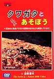 よいこのDVD クワガタとあそぼう