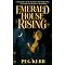 Excellent  First Novels