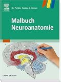 Malbuch Neuroanatomie