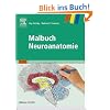 Malbuch Neuroanatomie