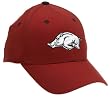 Arkansas Razorbacks Adult One-Fit Hat